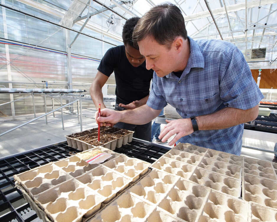 Eureka Springs agriculture teacher Jason McAfee helps student Isaiah Morris plant marigolds in the school’s greenhouse in 2018.