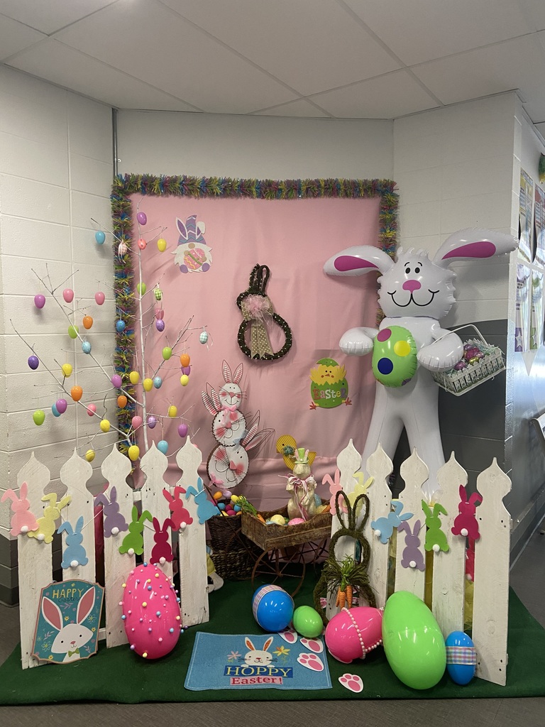 bunnies